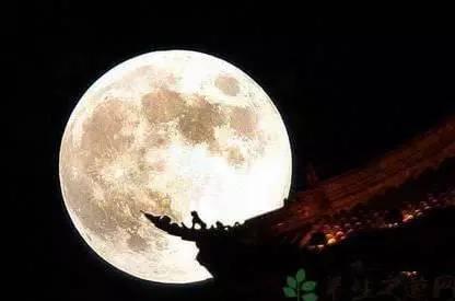 月亮吃瓜娱乐说